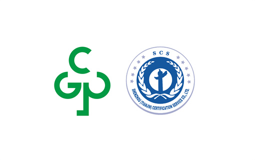 双碳认证：助力企业绿色转型
